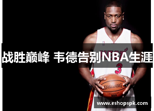 战胜巅峰 韦德告别NBA生涯